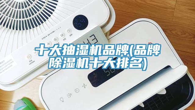 十大抽濕機(jī)品牌(品牌除濕機(jī)十大排名)