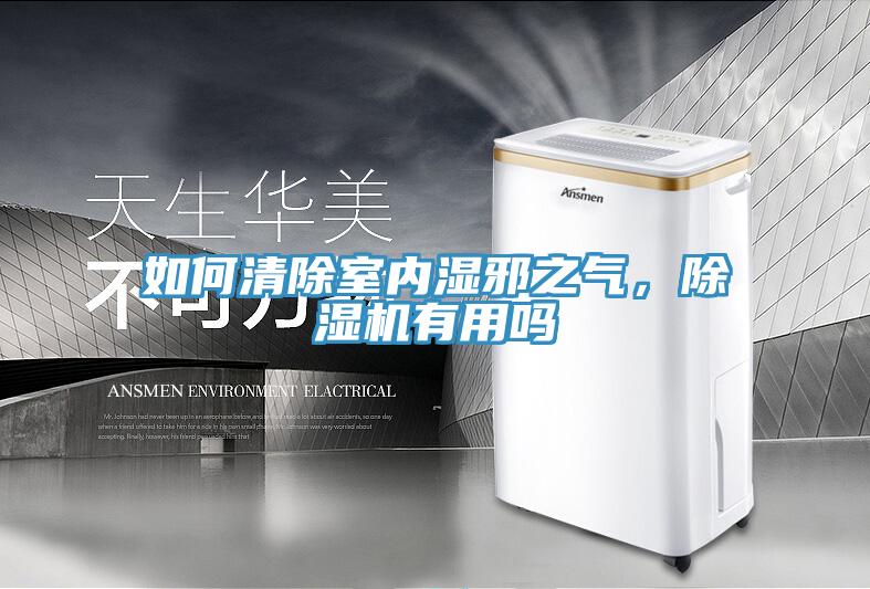 如何清除室內(nèi)濕邪之氣，除濕機有用嗎