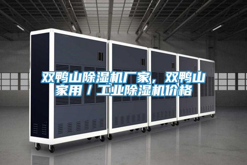 雙鴨山除濕機廠家，雙鴨山家用／工業(yè)除濕機價格