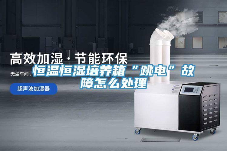 恒溫恒濕培養(yǎng)箱“跳電”故障怎么處理