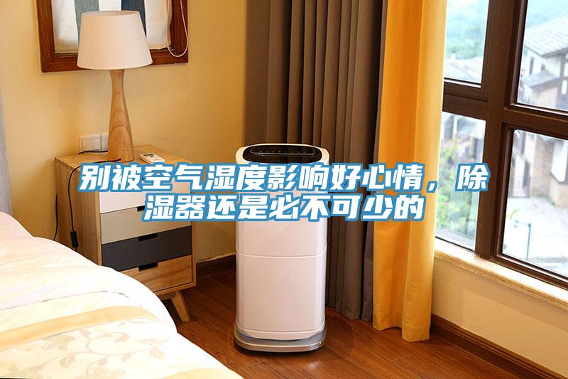別被空氣濕度影響好心情，除濕器還是必不可少的