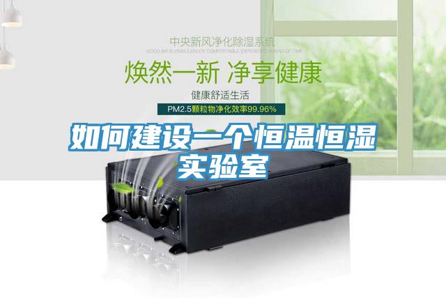 如何建設(shè)一個(gè)恒溫恒濕實(shí)驗(yàn)室