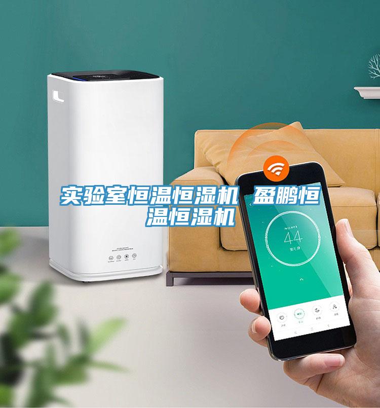 實(shí)驗(yàn)室恒溫恒濕機(jī) 盈鵬恒溫恒濕機(jī)