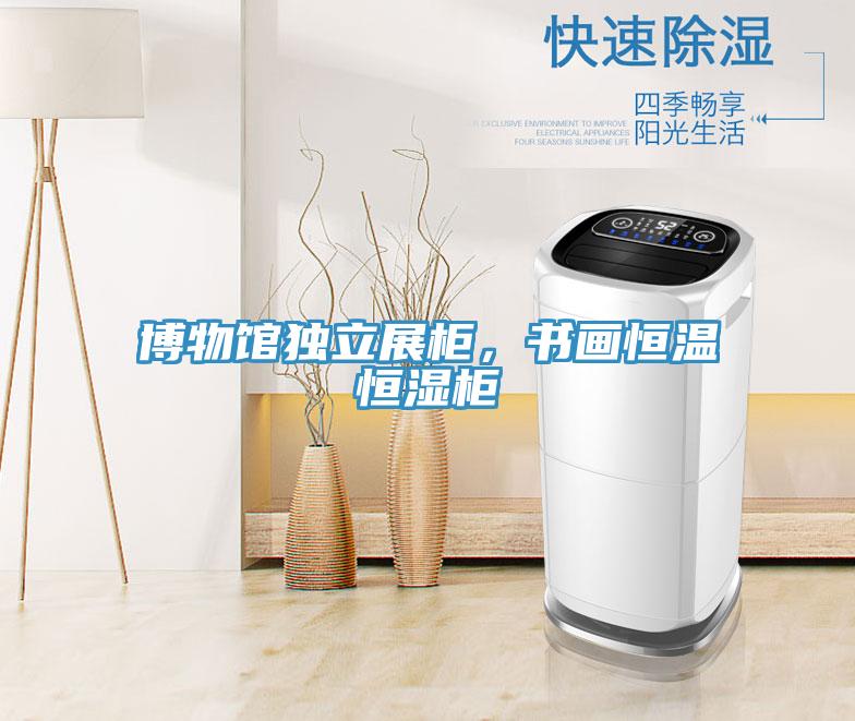 博物館獨立展柜，書畫恒溫恒濕柜