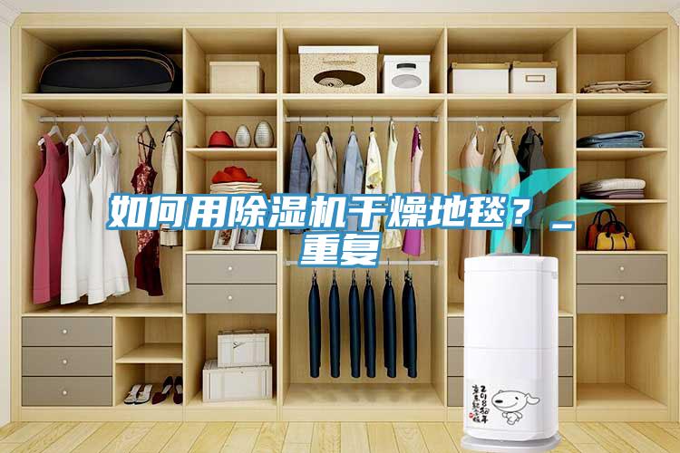 如何用除濕機干燥地毯？_重復(fù)