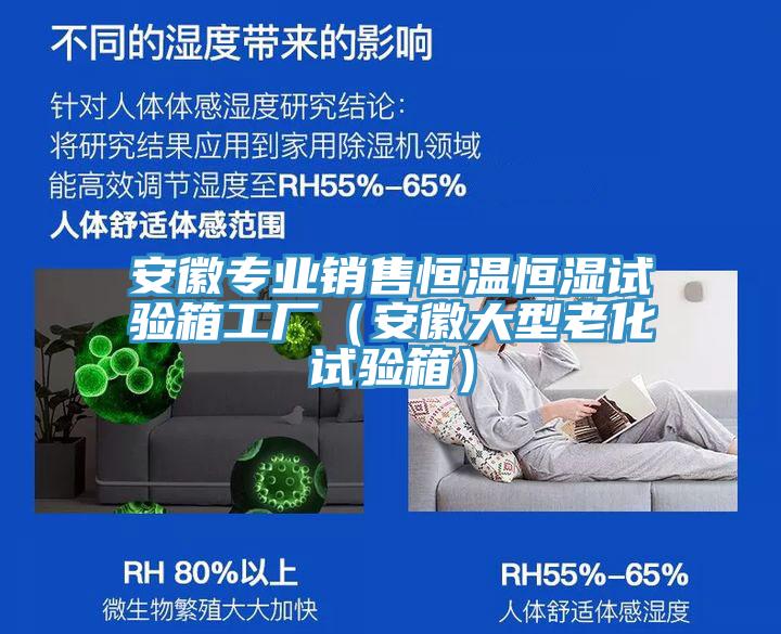 安徽專業(yè)銷售恒溫恒濕試驗箱工廠（安徽大型老化試驗箱）