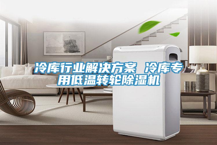 冷庫(kù)行業(yè)解決方案 冷庫(kù)專用低溫轉(zhuǎn)輪除濕機(jī)