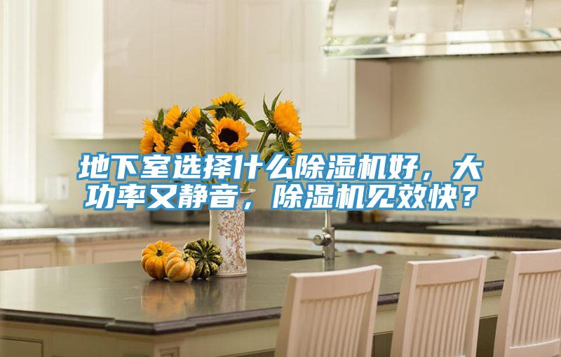 地下室選擇什么除濕機好，大功率又靜音，除濕機見效快？