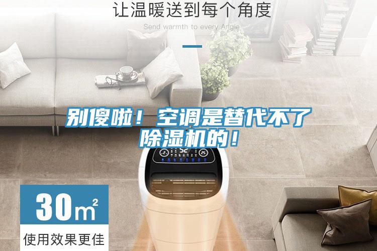 別傻啦！空調是替代不了除濕機的！