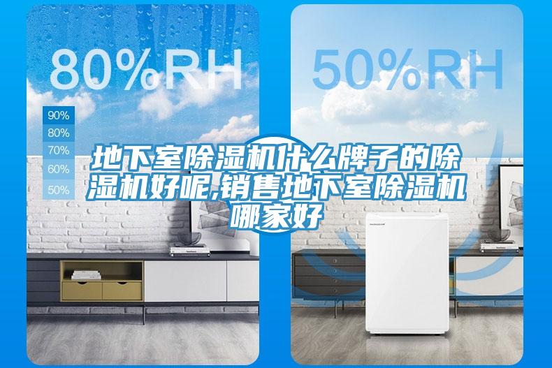 地下室除濕機(jī)什么牌子的除濕機(jī)好呢,銷售地下室除濕機(jī)哪家好