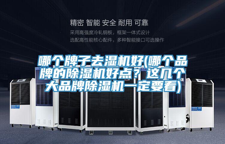哪個牌子去濕機好(哪個品牌的除濕機好點？這幾個大品牌除濕機一定要看)