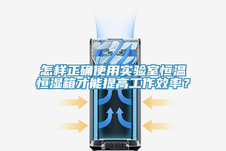 怎樣正確使用實(shí)驗(yàn)室恒溫恒濕箱才能提高工作效率？