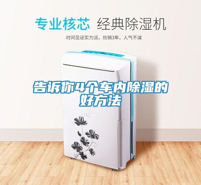 告訴你4個(gè)車內(nèi)除濕的好方法