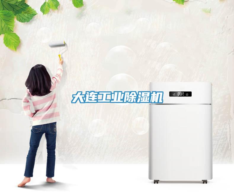 大連工業(yè)除濕機