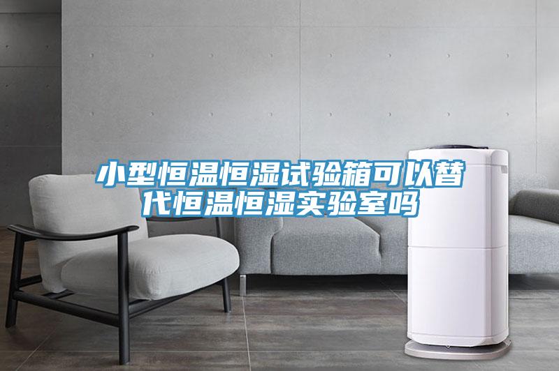 小型恒溫恒濕試驗箱可以替代恒溫恒濕實驗室嗎