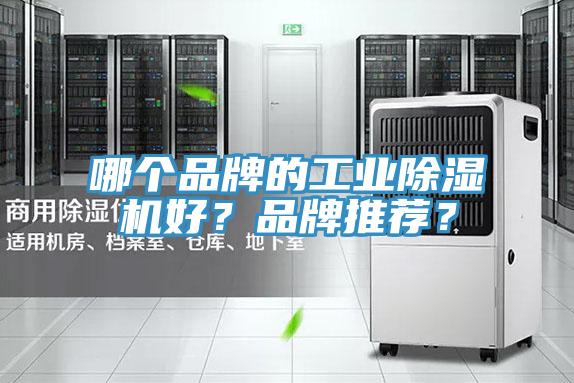 哪個品牌的工業(yè)除濕機(jī)好？品牌推薦？