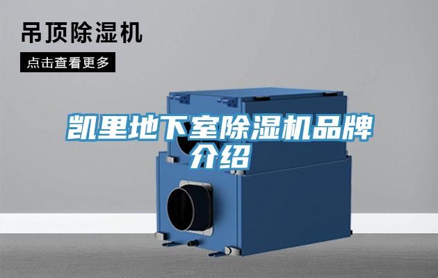 凱里地下室除濕機(jī)品牌介紹