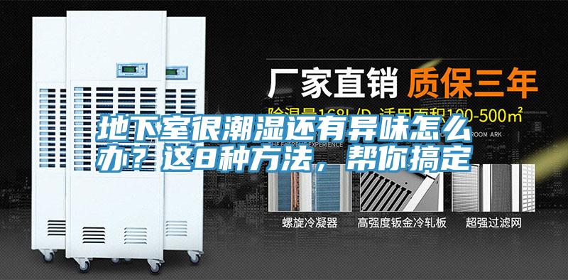 地下室很潮濕還有異味怎么辦？這8種方法，幫你搞定
