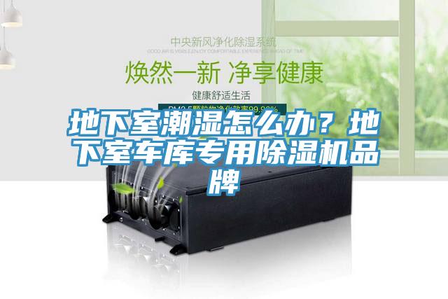 地下室潮濕怎么辦？地下室車庫專用除濕機(jī)品牌