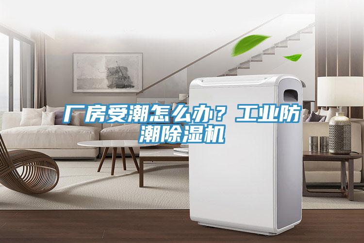 廠房受潮怎么辦？工業(yè)防潮除濕機