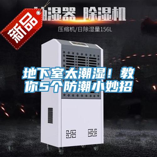 地下室太潮濕！教你5個防潮小妙招