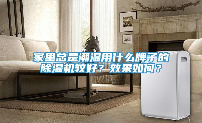 家里總是潮濕用什么牌子的除濕機較好？效果如何？