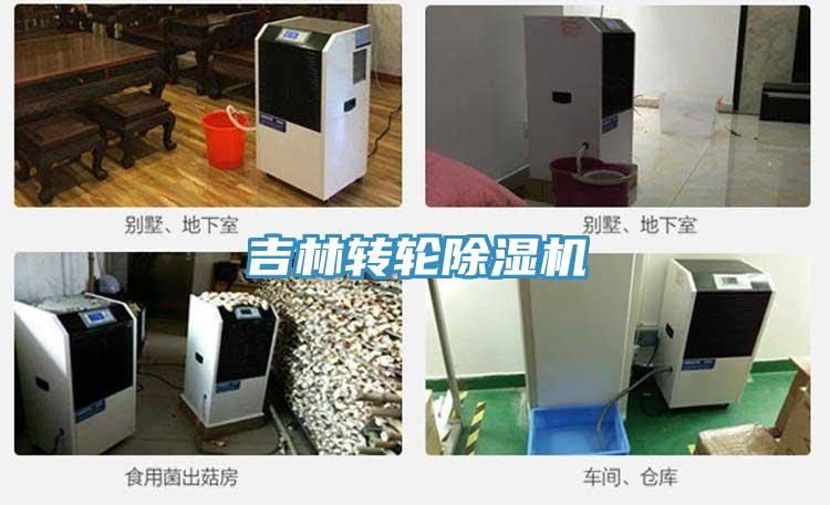 吉林轉(zhuǎn)輪除濕機(jī)