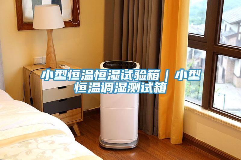 小型恒溫恒濕試驗(yàn)箱｜小型恒溫調(diào)濕測(cè)試箱