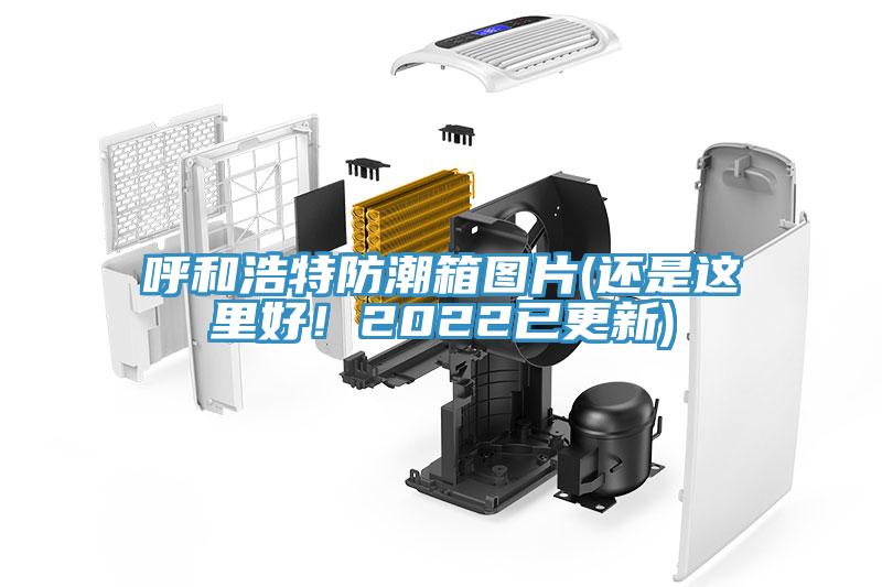 呼和浩特防潮箱圖片(還是這里好！2022已更新)