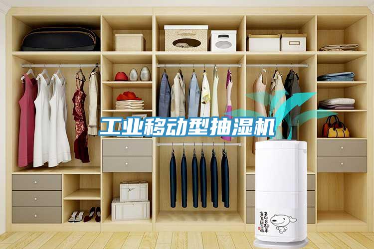工業(yè)移動型抽濕機