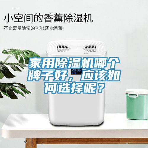 家用除濕機哪個牌子好，應該如何選擇呢？