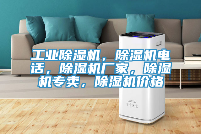 工業(yè)除濕機(jī)，除濕機(jī)電話，除濕機(jī)廠家，除濕機(jī)專賣(mài)，除濕機(jī)價(jià)格