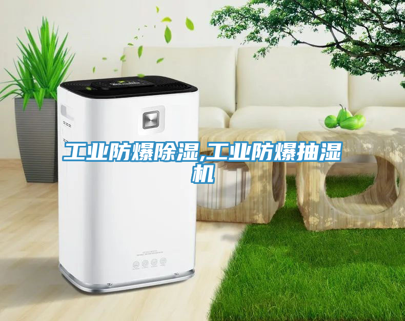 工業(yè)防爆除濕,工業(yè)防爆抽濕機(jī)