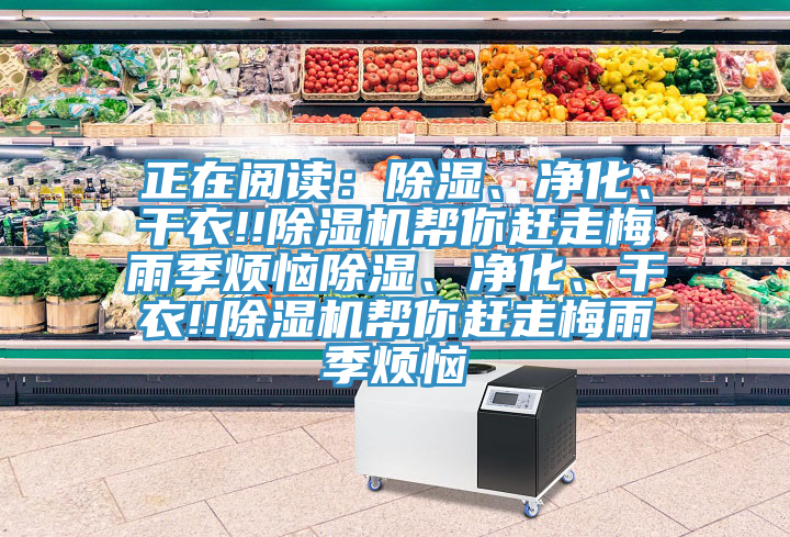 正在閱讀：除濕、凈化、干衣!!除濕機幫你趕走梅雨季煩惱除濕、凈化、干衣!!除濕機幫你趕走梅雨季煩惱