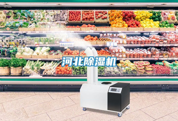河北除濕機