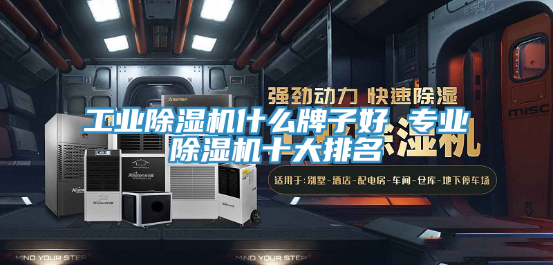 工業(yè)除濕機(jī)什么牌子好 專(zhuān)業(yè)除濕機(jī)十大排名