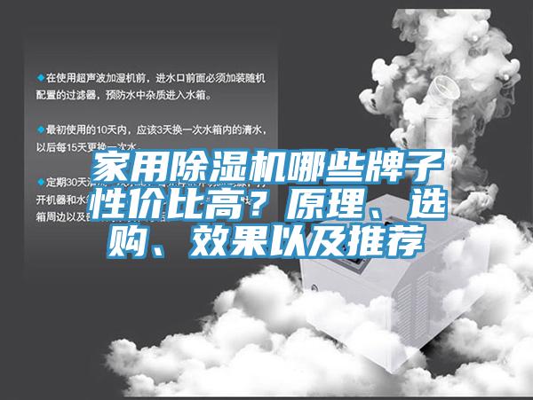 家用除濕機哪些牌子性價比高？原理、選購、效果以及推薦