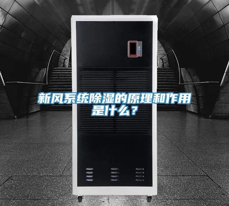 新風系統(tǒng)除濕的原理和作用是什么？