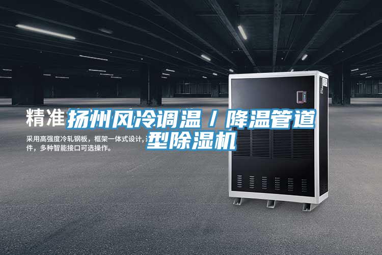 揚州風(fēng)冷調(diào)溫／降溫管道型除濕機(jī)