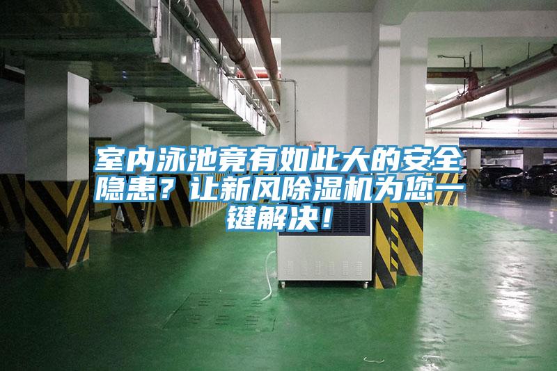 室內(nèi)泳池竟有如此大的安全隱患？讓新風(fēng)除濕機(jī)為您一鍵解決！