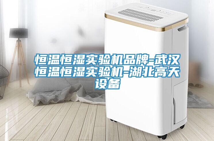 恒溫恒濕實驗機品牌-武漢恒溫恒濕實驗機-湖北高天設(shè)備