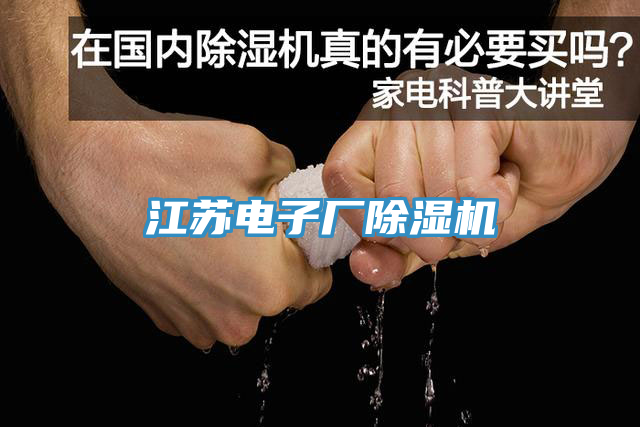 江蘇電子廠除濕機(jī)
