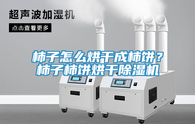 柿子怎么烘干成柿餅？柿子柿餅烘干除濕機