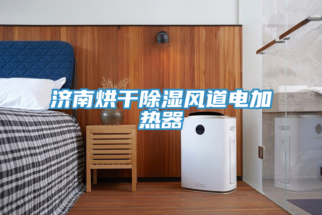 濟(jì)南烘干除濕風(fēng)道電加熱器