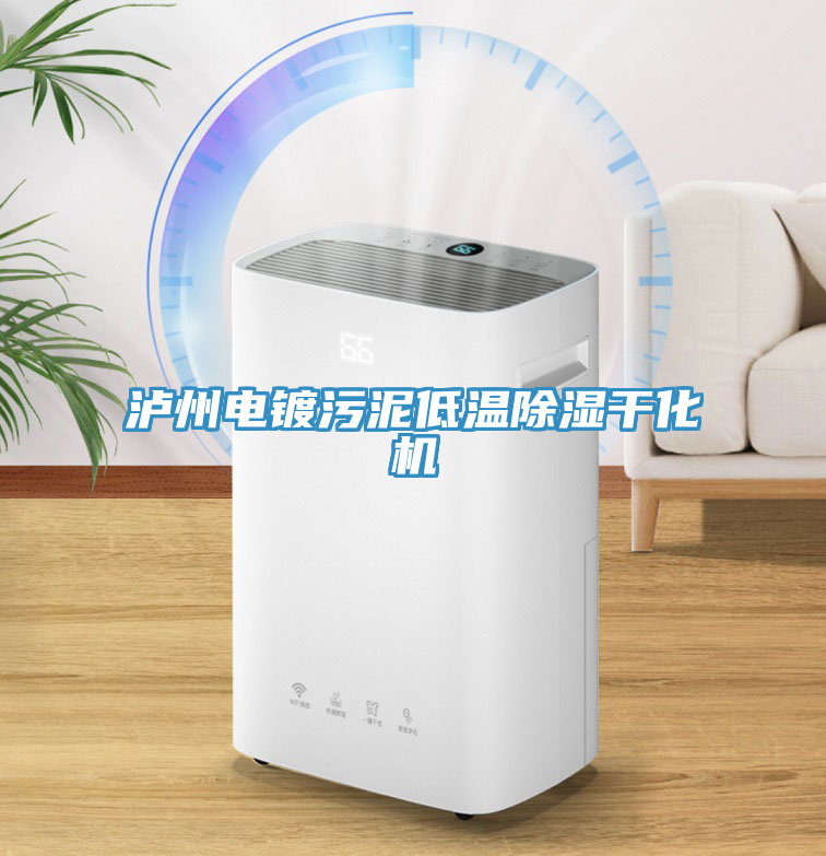 瀘州電鍍污泥低溫除濕干化機(jī)