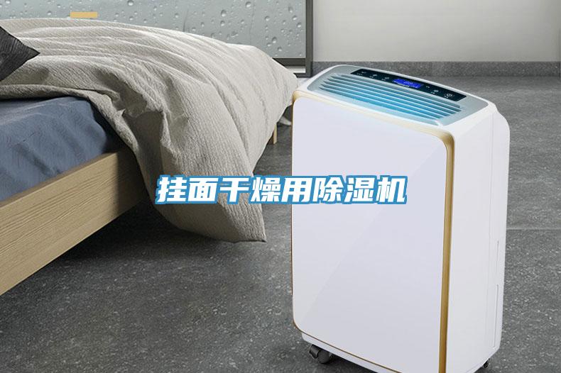 掛面干燥用除濕機(jī)