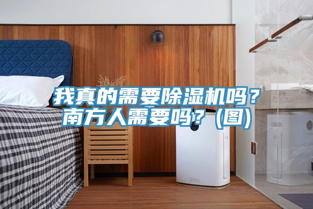 我真的需要除濕機嗎？南方人需要嗎？(圖)