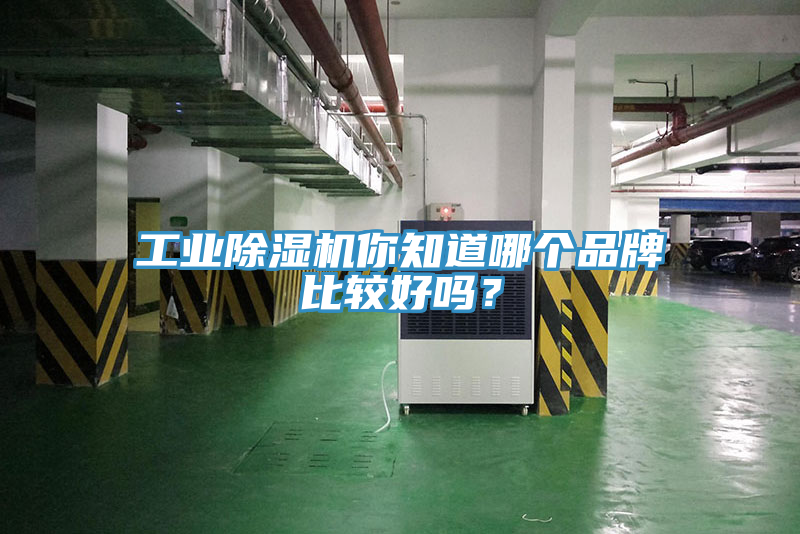 工業(yè)除濕機你知道哪個品牌比較好嗎？