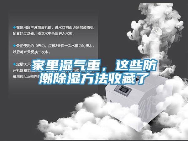 家里濕氣重，這些防潮除濕方法收藏了