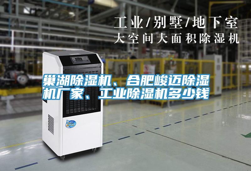 巢湖除濕機(jī)、合肥峻邁除濕機(jī)廠家、工業(yè)除濕機(jī)多少錢